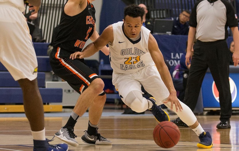 LCCC Men’s Basketball Zooms by EWC