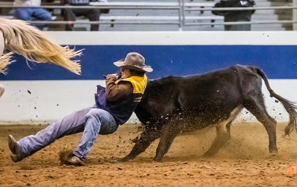 Rance Johnson wrestles his steer in steer wrestling during the Shawn Dubie Memorial Rodeo.