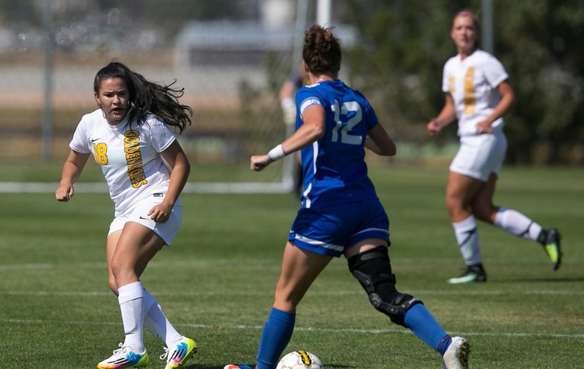 Golden Eagles Put Up Another Strong Performance with 3-0 Win