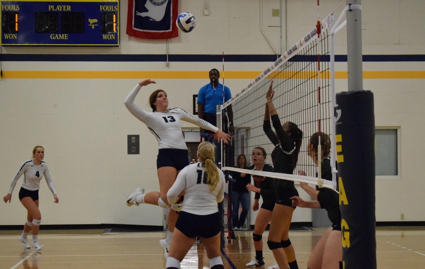 Golden Eagles Serve Western Wyoming Loss